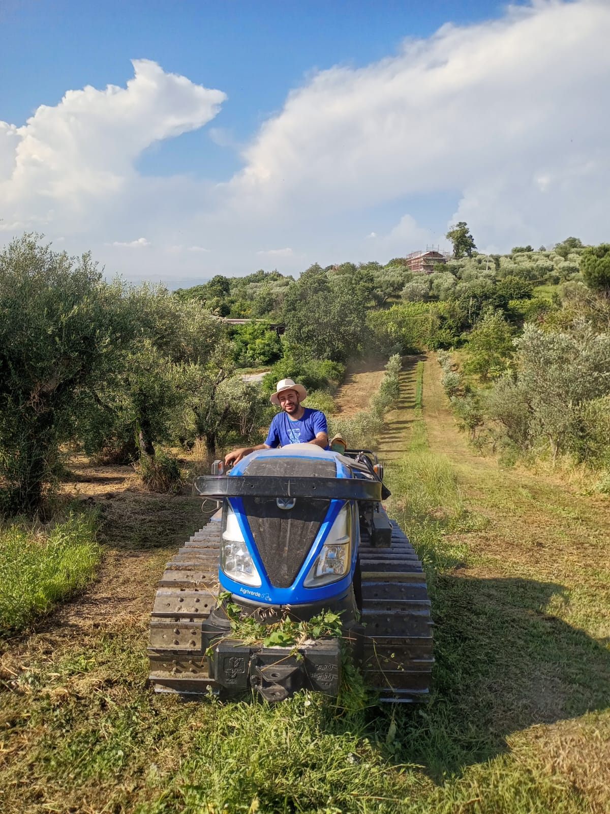 Percorsi Didattici 4